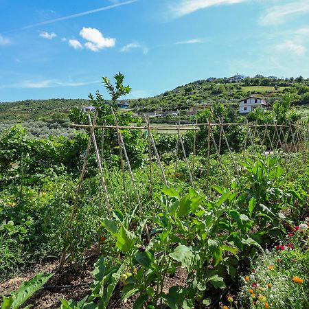 Villa Xherimeja Family Oasis Берат Екстериор снимка